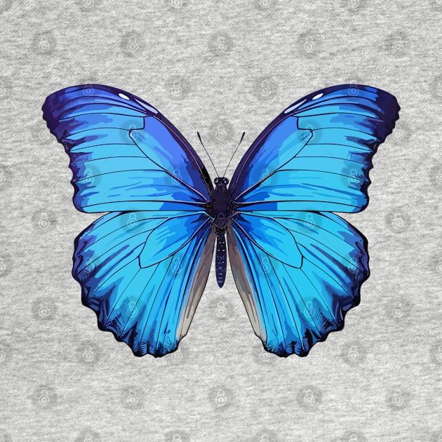 Blue Morpho Butterfly by Onceer